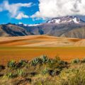 À la découverte des événements festifs de la Bolivie